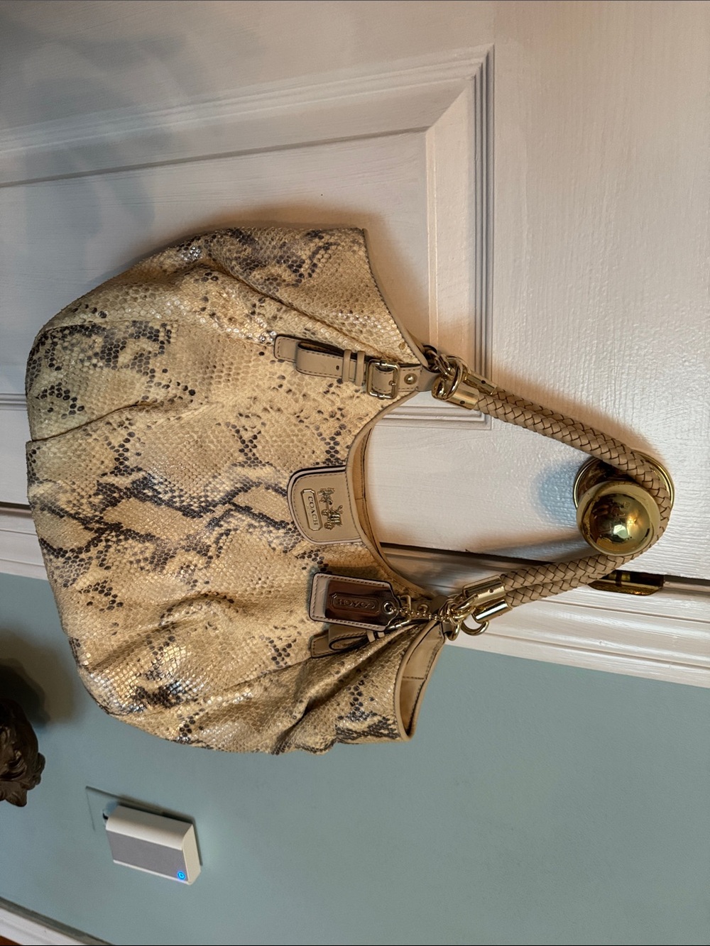 Coach Cream and Brown Snake-Print Leather Hobo Bag - Picture 1 of 10